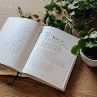 The Promises of God Book