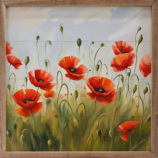 Red Poppy Field