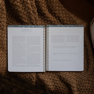 A Year in the Bible | Volume 1 Bible Study