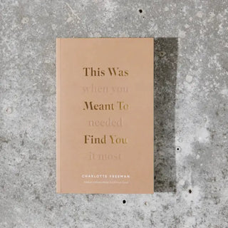 This Was Meant To Find You (When You Needed It Most) - Book