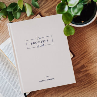 The Promises of God Book