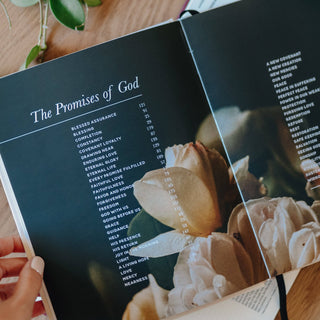 The Promises of God Book