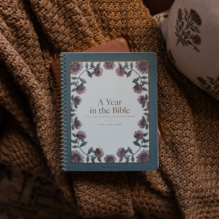 A Year in the Bible | Volume 1 Bible Study