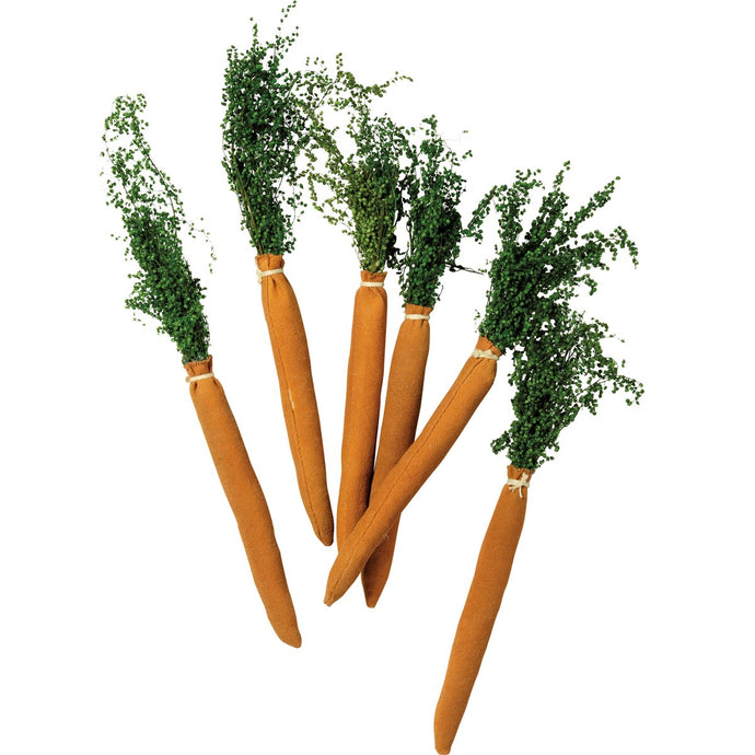 Primitive Carrots