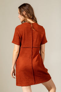Demi Mini Dress in Rust