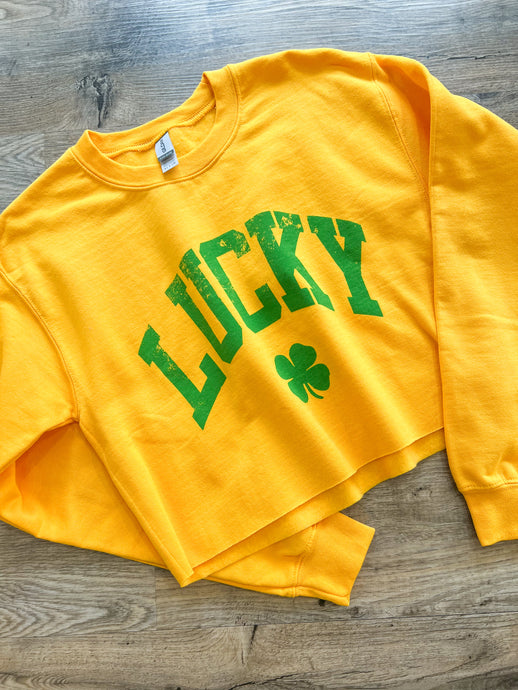 Lucky Clover Crop Sweatshirt
